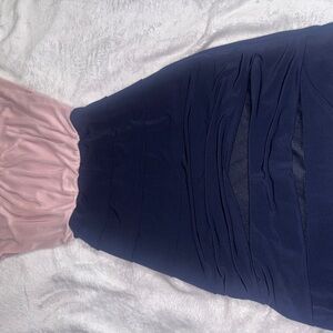 aerie Pink and Navy Two-Tone Pencil Skirt